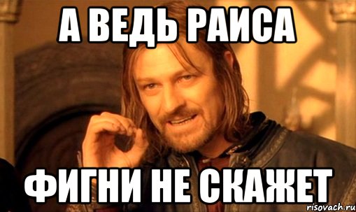 а ведь Раиса фигни не скажет, Мем Нельзя просто так взять и (Боромир мем)