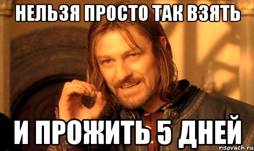 нельзя просто так взять и прожить 5 дней, Мем Нельзя просто так взять и (Боромир мем)