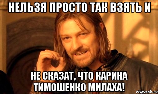 Нельзя просто так взять и не сказат, что Карина Тимошенко Милаха!, Мем Нельзя просто так взять и (Боромир мем)