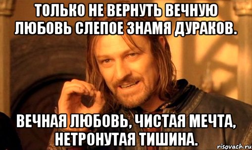 Только не вернуть вечную любовь Слепое знамя дураков. Вечная любовь, чистая мечта, Нетронутая тишина., Мем Нельзя просто так взять и (Боромир мем)