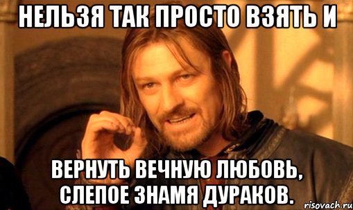 Нельзя так просто взять и вернуть вечную любовь, Слепое знамя дураков., Мем Нельзя просто так взять и (Боромир мем)