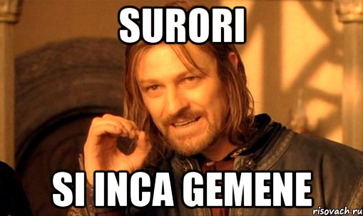 surori si inca gemene, Мем Нельзя просто так взять и (Боромир мем)