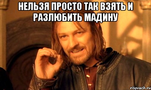 Нельзя просто так взять и разлюбить Мадину , Мем Нельзя просто так взять и (Боромир мем)