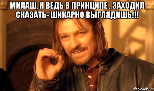 МИЛАШ, Я ВЕДЬ В ПРИНЦИПЕ , ЗАХОДИЛ СКАЗАТЬ- ШИКАРНО ВЫГЛЯДИШЬ!!! , Мем Нельзя просто так взять и (Боромир мем)