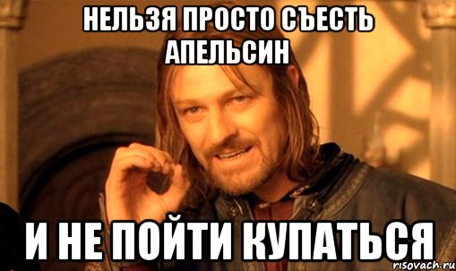 НЕЛЬЗЯ ПРОСТО СЪЕСТЬ АПЕЛЬСИН И НЕ ПОЙТИ КУПАТЬСЯ, Мем Нельзя просто так взять и (Боромир мем)