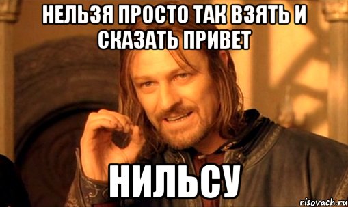 нельзя просто так взять и сказать привет Нильсу, Мем Нельзя просто так взять и (Боромир мем)