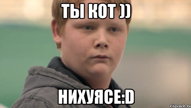 ты кот )) нихуясе:D, Мем    нифигасе