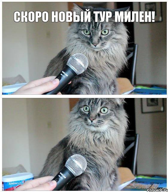 Скоро новый тур Милен!, Комикс  кот с микрофоном