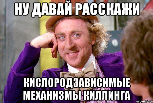 НУ ДАВАЙ РАССКАЖИ КИСЛОРОДЗАВИСИМЫЕ МЕХАНИЗМЫ КИЛЛИНГА, Мем Ну давай расскажи (Вилли Вонка)