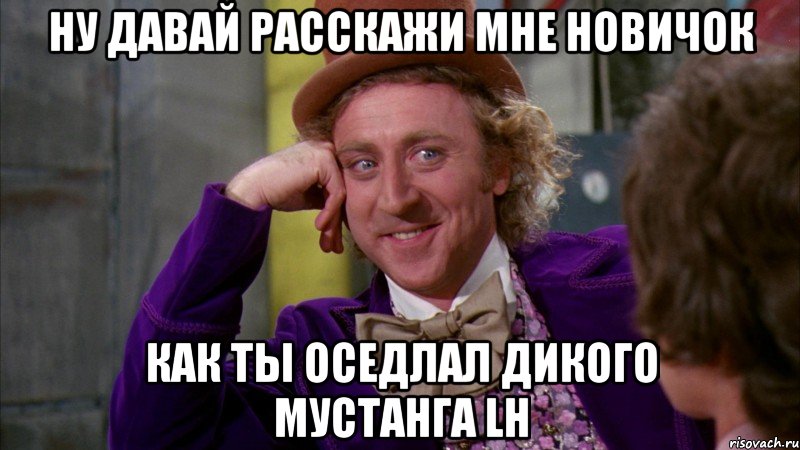 Ну давай расскажи мне новичок как ты оседлал дикого мустанга LH, Мем Ну давай расскажи (Вилли Вонка)