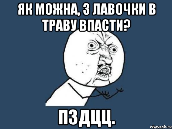 ЯК МОЖНА, З ЛАВОЧКИ В ТРАВУ ВПАСТИ? ПЗДЦЦ., Мем Ну почему