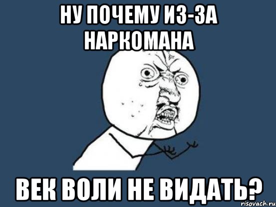 ну почему из-за наркомана век воли не видать?, Мем Ну почему