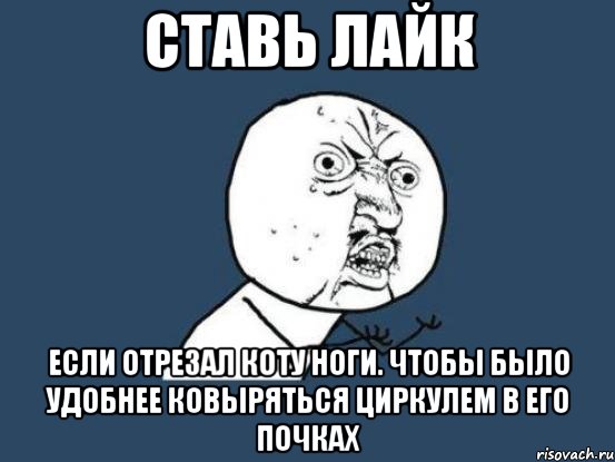 Ставь лайк Если отрезал коту ноги. чтобы было удобнее ковыряться циркулем в его почках, Мем Ну почему