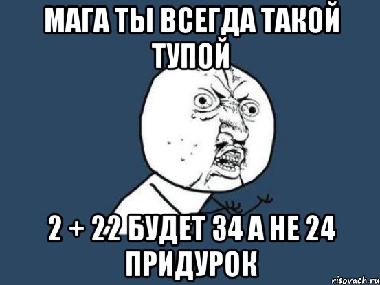 мага ты всегда такой тупой 2 + 22 будет 34 а не 24 придурок, Мем Ну почему