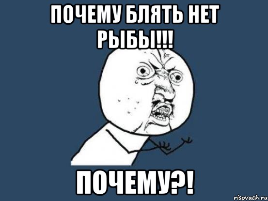 Почему блять нет рыбы!!! Почему?!, Мем Ну почему