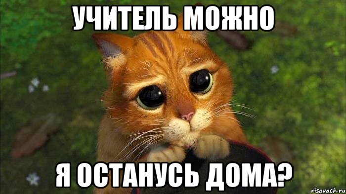 Учитель можно Я останусь дома?