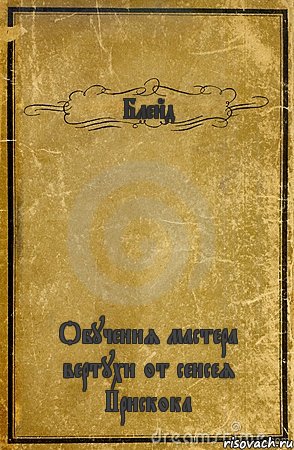 Блейд Обучения мастера вертухи от сенсея Прискока, Комикс обложка книги