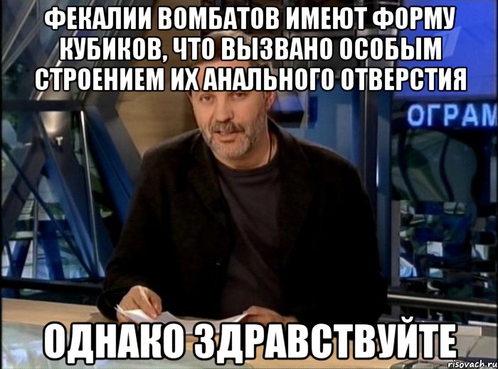 Фекалии вомбатов имеют форму кубиков, что вызвано особым строением их анального отверстия Однако здравствуйте, Мем Однако Здравствуйте