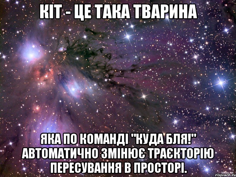 Кіт - це тaка тварина яка по комaнді "КУДА БЛЯ!" aвтомaтично змінює траєкторію пересування в просторі., Мем Космос