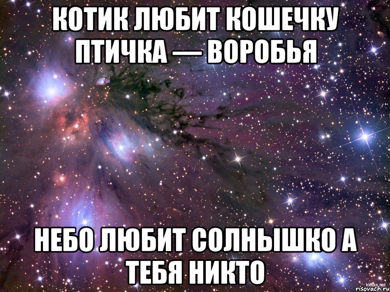 котик любит кошечку птичка — воробья небо любит солнышко а тебя никто, Мем Космос