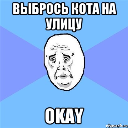 Выбрось кота на улицу Okay, Мем Okay face