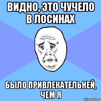 ВИДНО, ЭТО ЧУЧЕЛО В ЛОСИНАХ БЫЛО ПРИВЛЕКАТЕЛЬНЕЙ, ЧЕМ Я, Мем Okay face