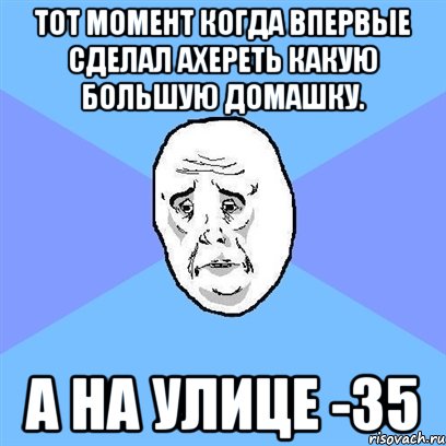 тот момент когда впервые сделал ахереть какую большую домашку. а на улице -35, Мем Okay face
