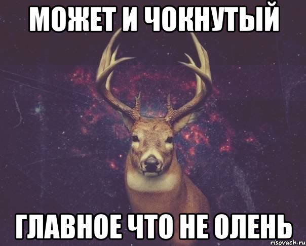 Может и чокнутый Главное что не олень