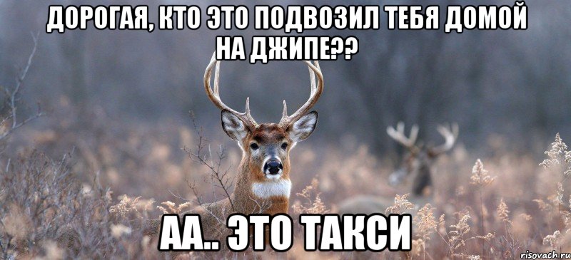 Дорогая, кто это подвозил тебя домой на джипе?? Аа.. это такси, Мем   Наивный олень