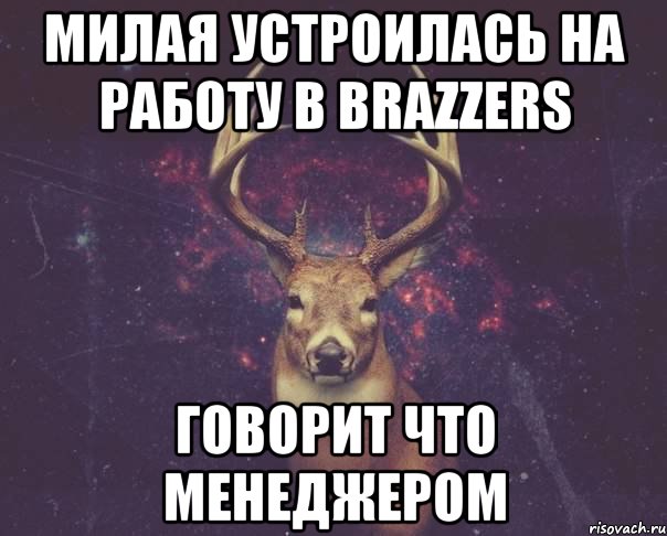 милая устроилась на работу в brazzers говорит что менеджером, Мем  олень наивный