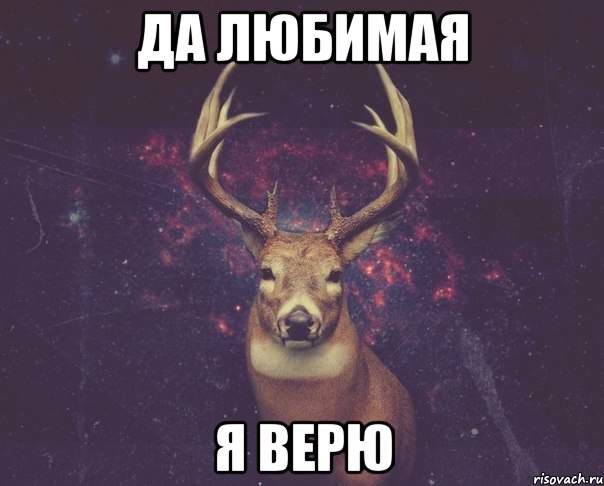 Да любимая Я верю, Мем  олень наивный