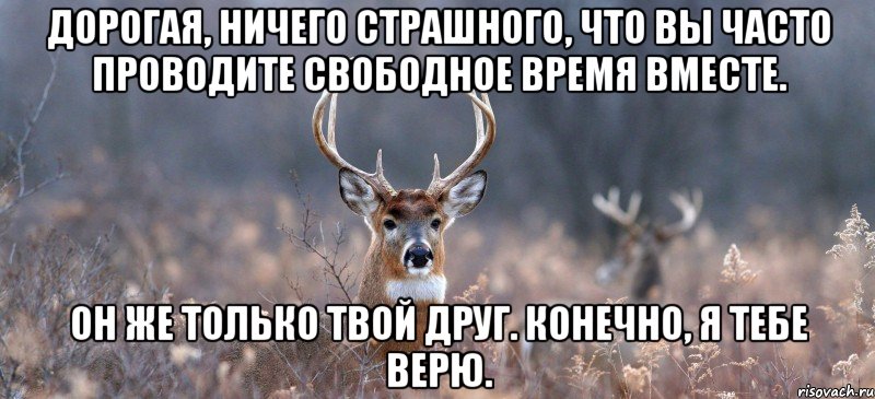 Дорогая, ничего страшного, что вы часто проводите свободное время вместе. Он же только твой друг. Конечно, я тебе верю., Мем   Наивный олень