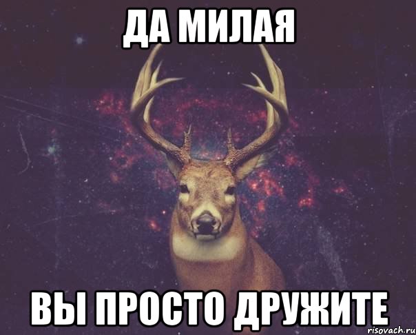 да милая вы просто дружите