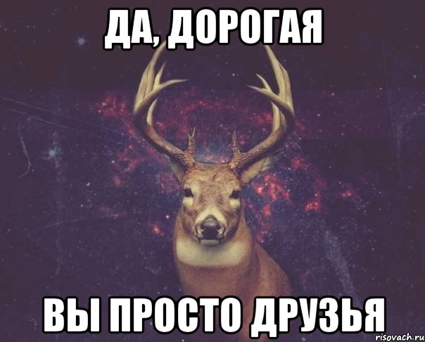 ДА, ДОРОГАЯ ВЫ ПРОСТО ДРУЗЬЯ