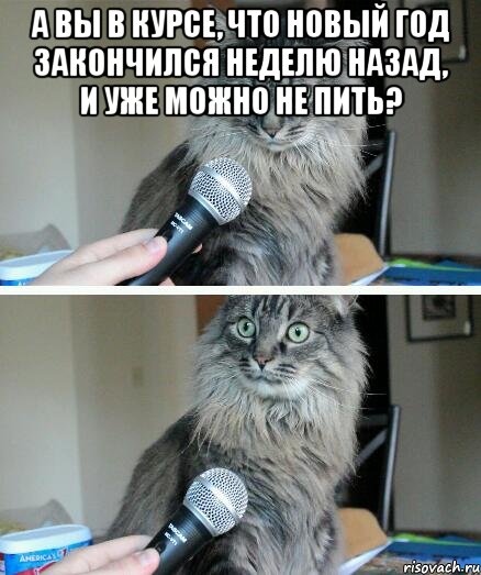 А вы в курсе, что новый год закончился неделю назад, и уже можно не пить? , Комикс  кот с микрофоном