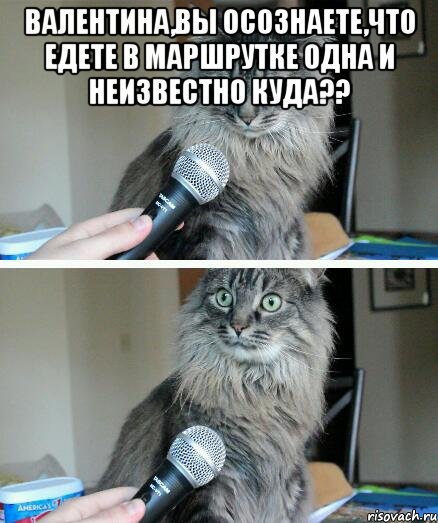 Валентина,вы осознаете,что едете в маршрутке одна и неизвестно куда?? , Комикс  кот с микрофоном