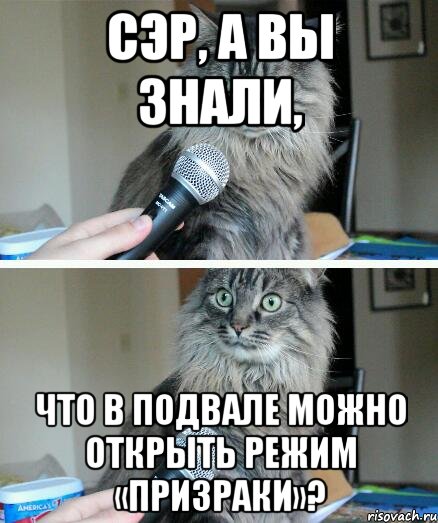 Сэр, а вы знали, Что в подвале можно открыть режим «Призраки»?, Комикс  кот с микрофоном