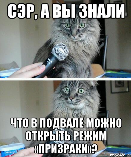 Сэр, а вы знали Что в подвале можно открыть режим «Призраки»?, Комикс  кот с микрофоном