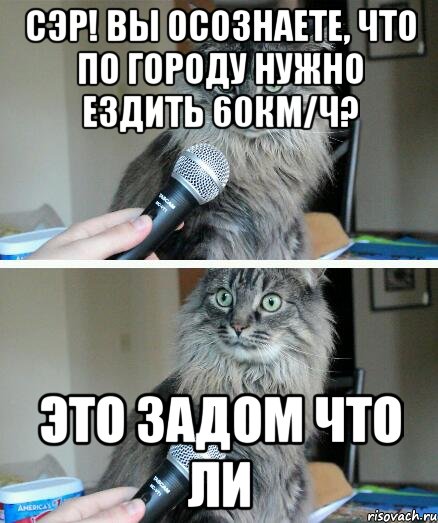 СЭР! Вы осознаете, что по городу нужно ездить 60км/ч? Это задом что ли, Комикс  кот с микрофоном