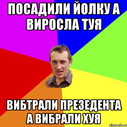 ПОСАДИЛИ ЙОЛКУ А ВИРОСЛА ТУЯ ВИБТРАЛИ ПРЕЗЕДЕНТА А ВИБРАЛИ ХУЯ, Мем Чоткий паца