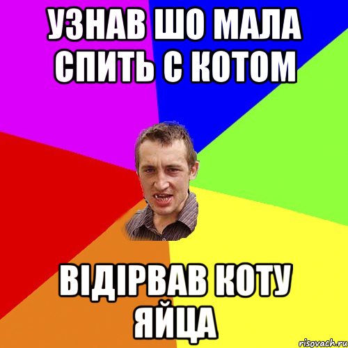 узнав шо мала спить с котом відірвав коту яйца, Мем Чоткий паца