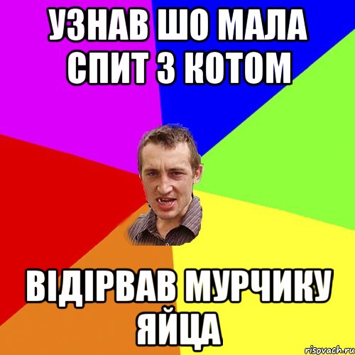 узнав шо мала спит з котом відірвав мурчику яйца, Мем Чоткий паца