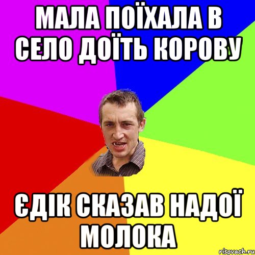 Мала поїхала в село доїть корову Єдік сказав надої молока, Мем Чоткий паца