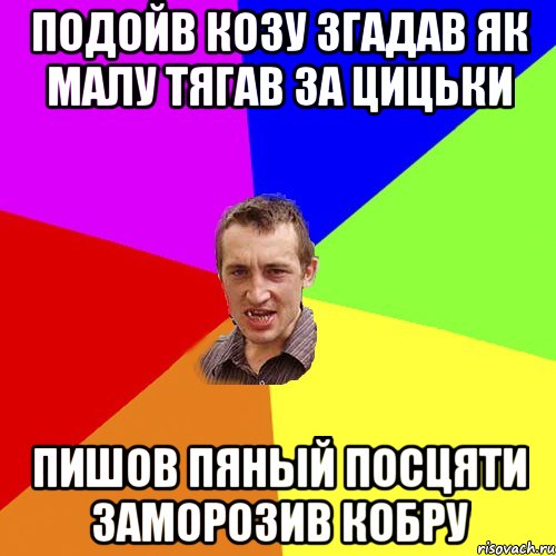 ПОДОЙВ КОЗУ ЗГАДАВ ЯК МАЛУ ТЯГАВ ЗА ЦИЦЬКИ ПИШОВ ПЯНЫЙ ПОСЦЯТИ ЗАМОРОЗИВ КОБРУ, Мем Чоткий паца