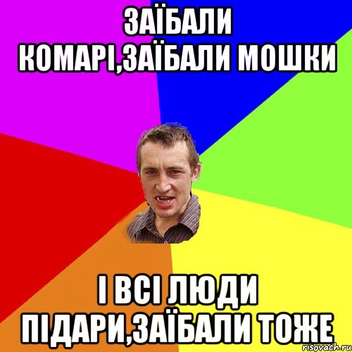 Заїбали комарі,заїбали мошки і всі люди підари,заїбали тоже, Мем Чоткий паца