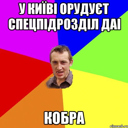 У КИЇВІ ОРУДУЄТ СПЕЦПІДРОЗДІЛ ДАІ КОБРА, Мем Чоткий паца