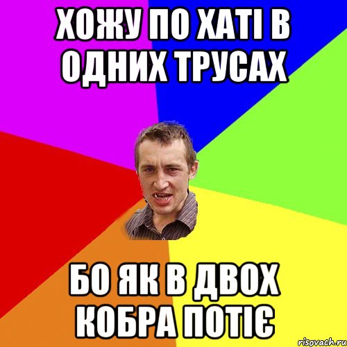 Хожу по хаті в одних трусах Бо як в двох кобра потіє, Мем Чоткий паца