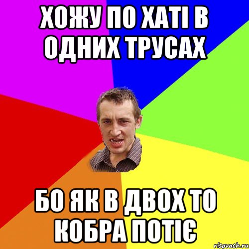 Хожу по хаті в одних трусах Бо як в двох то кобра потіє, Мем Чоткий паца