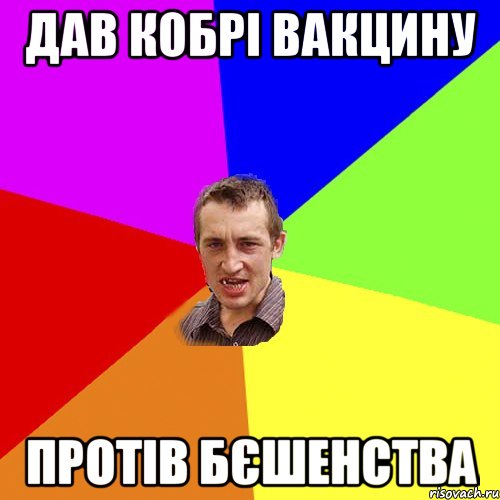 дав кобрі вакцину протів бєшенства, Мем Чоткий паца