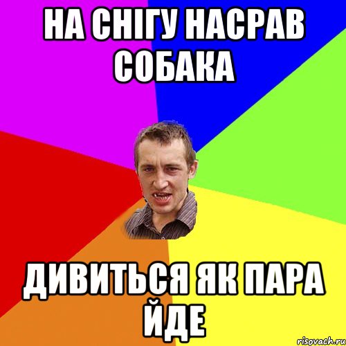 на снігу насрав собака дивиться як пара йде, Мем Чоткий паца